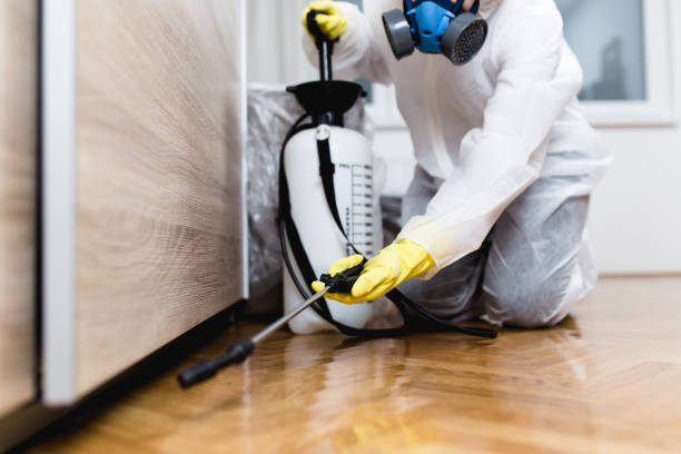 Trusted Clarksburg, MD Pest Control Experts