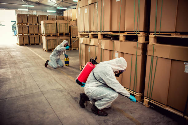 Best Ant Control Services  in Clarksburg, MD