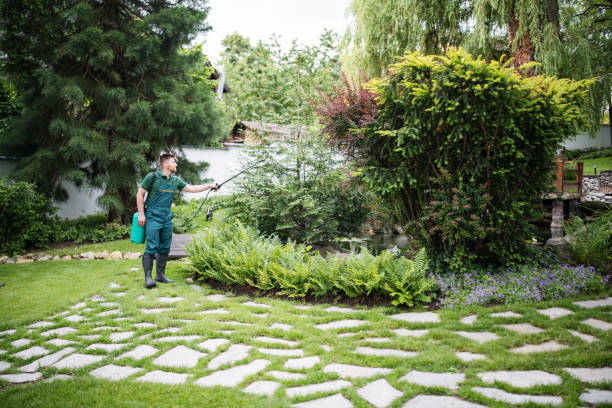 Best Pest Inspection Near Me  in Clarksburg, MD