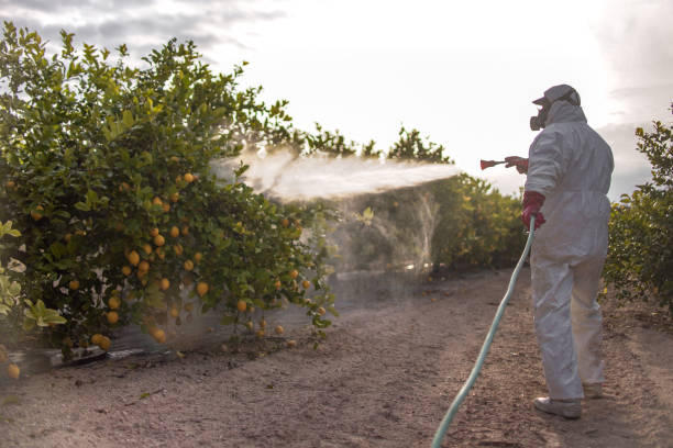 Clarksburg, MD Pest Control Company