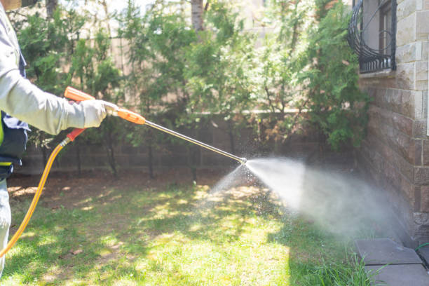 Best Affordable Pest Control Services  in Clarksburg, MD
