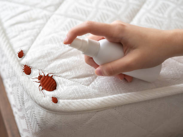 Best Pest Control for Homes  in Clarksburg, MD