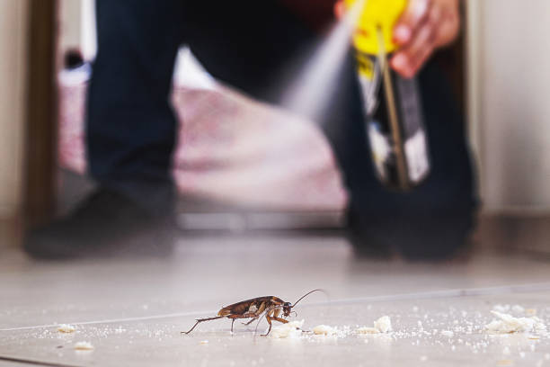 Best Cockroach Control Services  in Clarksburg, MD