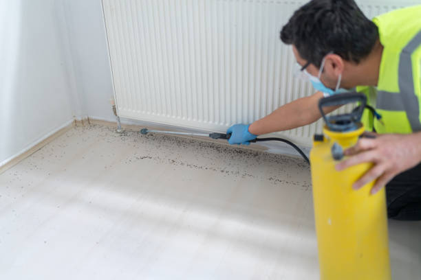 Best Exterminator Services  in Clarksburg, MD
