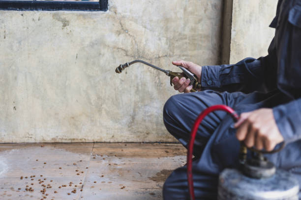 Best Best Pest Control Companies  in Clarksburg, MD