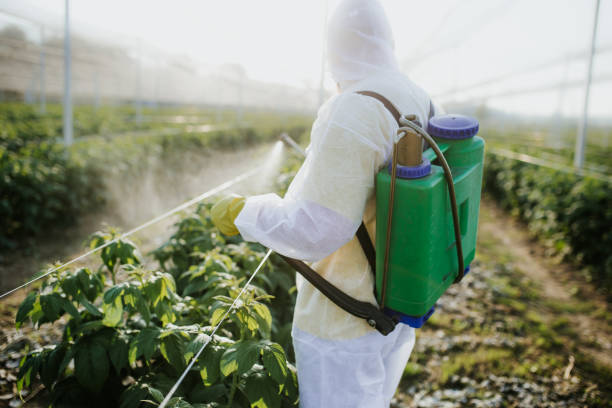 Flea Control Services in Clarksburg, MD